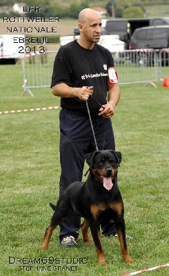 of Krie Gerische Schawarz - nationale d'elevage du rottweiler