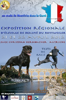 of Krie Gerische Schawarz - ROTTWEILER KENNEL OF KRIE GERISCHE SCHWARZ