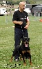  - nationale d'elevage du rottweiler