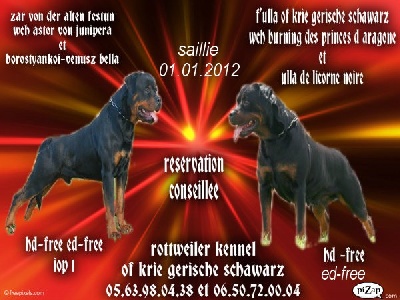 of Krie Gerische Schawarz - ROTTWEILER KENNEL OF KRIE GERISCHE SCHWARZ