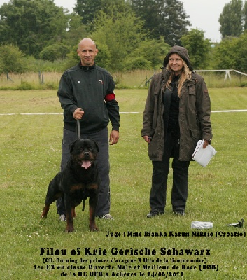 of Krie Gerische Schawarz -  U.F.R REGIONALE  ACHERES (FRANCE )