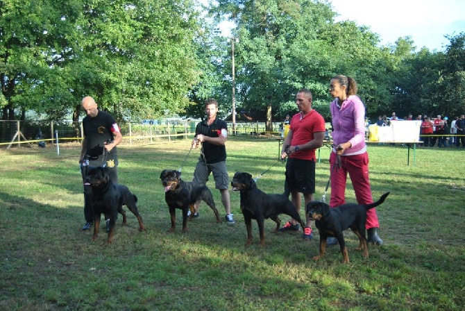 of Krie Gerische Schawarz - KS FRENCH VILLE SOUS ANJOU 21 SEPTEMBRE 2014